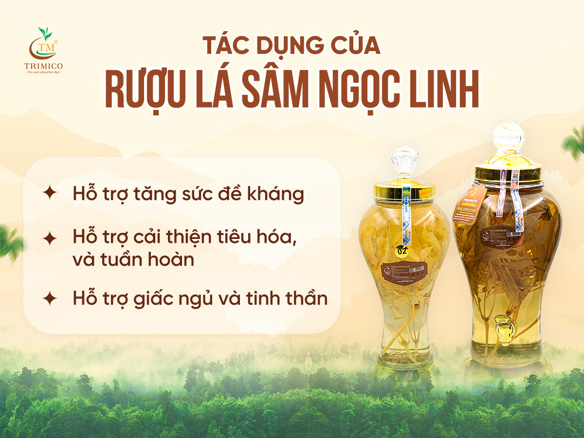 rượu s&acirc;m ngọc linh c&oacute; t&aacute;c dụng g&igrave;